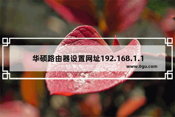 华硕路由器设置网址192.168.1.1(华硕路由器怎么进入)