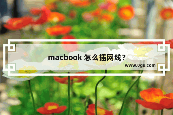 macbook 怎么插网线？