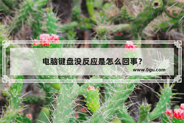 电脑键盘没反应是怎么回事？