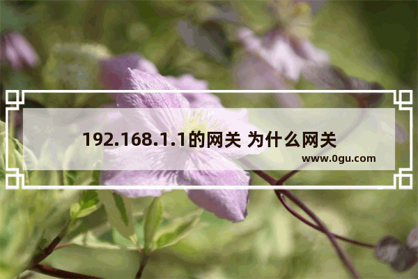 192.168.1.1的网关 为什么网关是192.168.1.1
