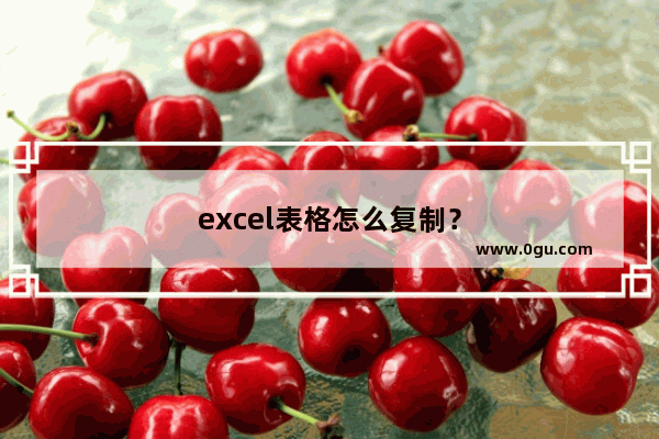 excel表格怎么复制？