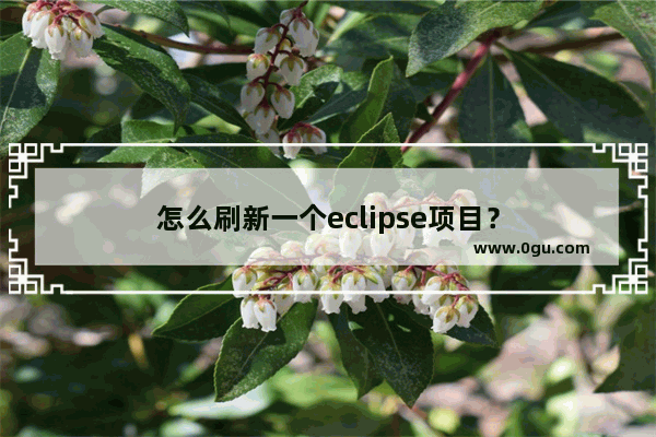怎么刷新一个eclipse项目？