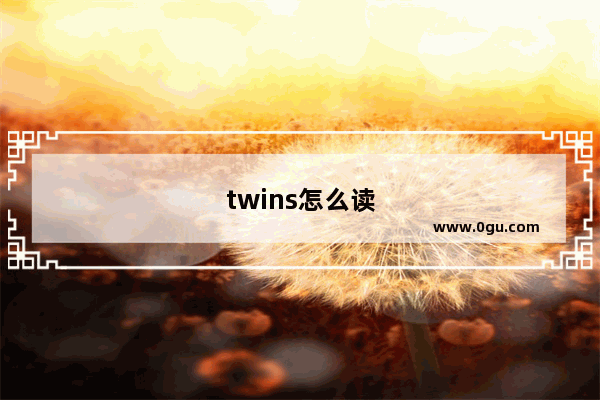 twins怎么读