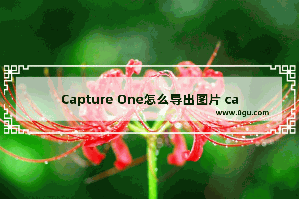 Capture One怎么导出图片 capture one10导出图片的方法