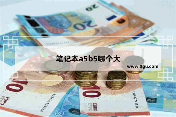 笔记本a5b5哪个大