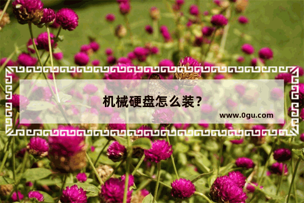 机械硬盘怎么装？
