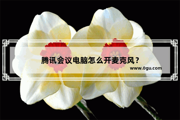 腾讯会议电脑怎么开麦克风？
