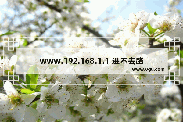 www.192.168.1.1 进不去路由器设置页面怎么办