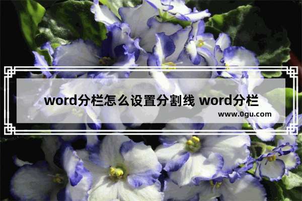 word分栏怎么设置分割线 word分栏设置分割线的方法