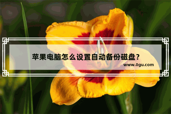 苹果电脑怎么设置自动备份磁盘？