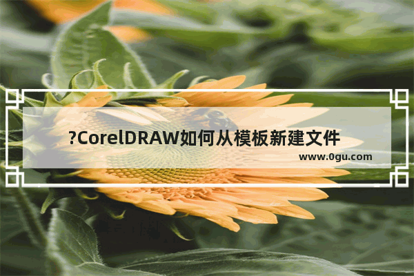 ?CorelDRAW如何从模板新建文件 CDR软件从模板新建的方法教程
