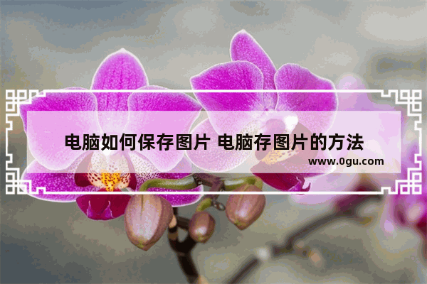 电脑如何保存图片 电脑存图片的方法
