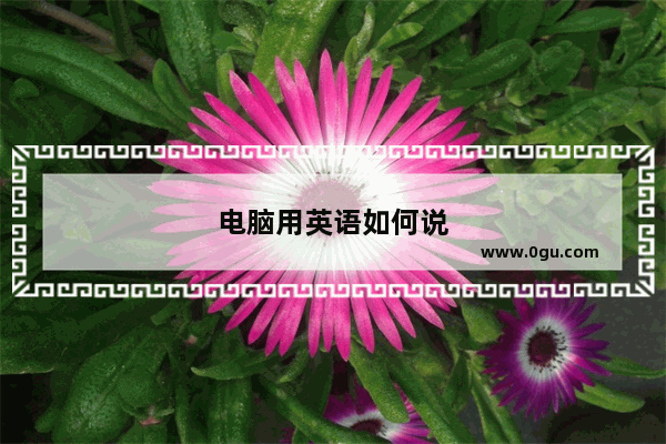 电脑用英语如何说