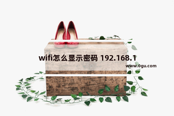 wifi怎么显示密码 192.168.1.1用户名和密码是多少