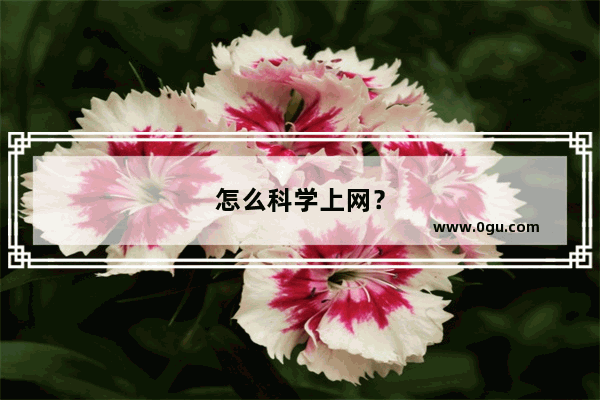 怎么科学上网？