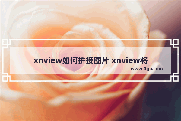 xnview如何拼接图片 xnview将多张图片拼接在一起的方法教程