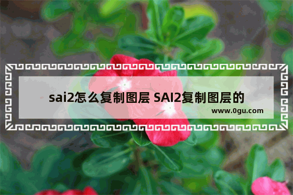 sai2怎么复制图层 SAI2复制图层的方法