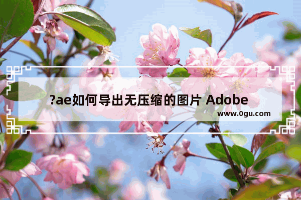 ?ae如何导出无压缩的图片 Adobe after effects导出无压缩图片的方法教程