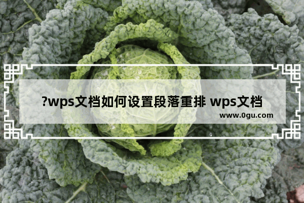 ?wps文档如何设置段落重排 wps文档重排段落的方法