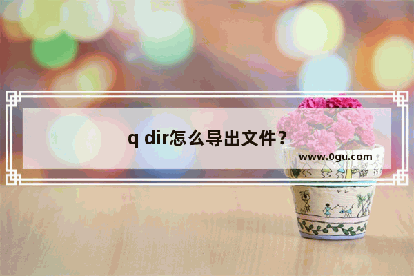 q dir怎么导出文件？