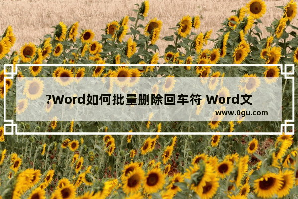 ?Word如何批量删除回车符 Word文档删除多余回车符的方法教程