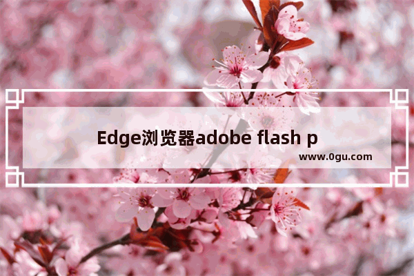 Edge浏览器adobe flash player被阻止怎么办 Edge浏览器adobe flash player被阻止的解决方法