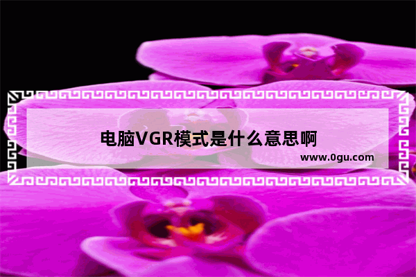 电脑VGR模式是什么意思啊