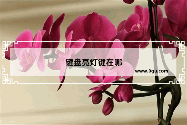 键盘亮灯键在哪