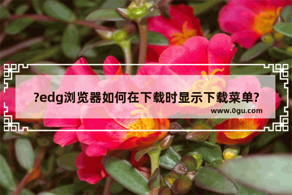 ?edg浏览器如何在下载时显示下载菜单? edg浏览器开启开始下载时显示下载菜单的方法