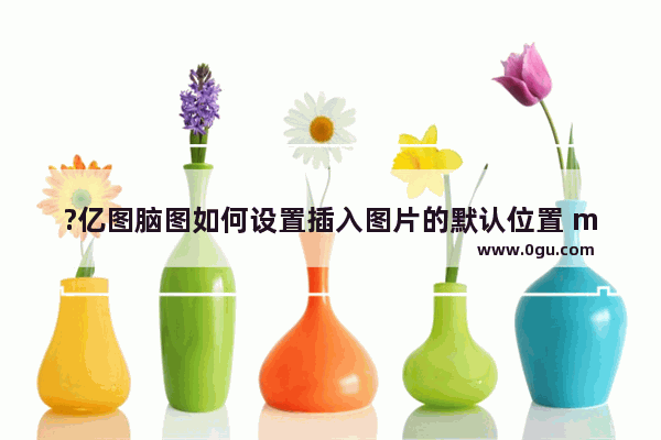 ?亿图脑图如何设置插入图片的默认位置 mindmaster设置图片在文字中的默认位置的方法教程