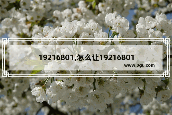 19216801,怎么让19216801和19216811互相访问