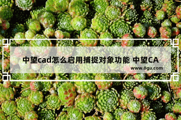 中望cad怎么启用捕捉对象功能 中望CAD2023启用捕捉对象功能的方法
