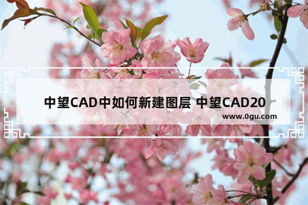 中望CAD中如何新建图层 中望CAD2023中快速新建图层的方法
