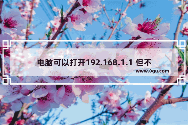电脑可以打开192.168.1.1 但不能上网在哪里设置