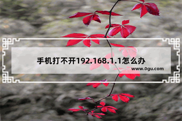 手机打不开192.168.1.1怎么办