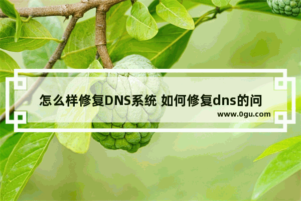 怎么样修复DNS系统 如何修复dns的问题