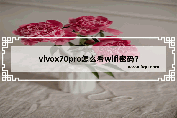 vivox70pro怎么看wifi密码？