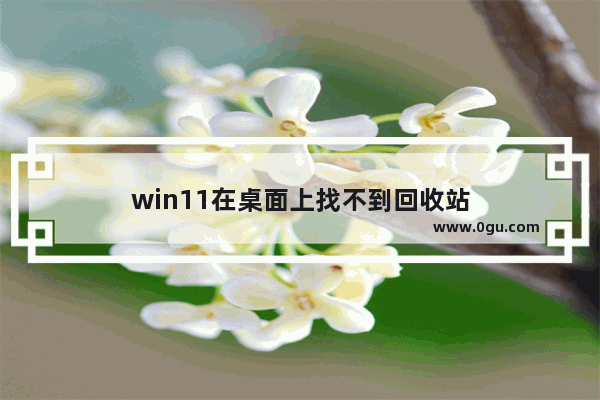 win11在桌面上找不到回收站