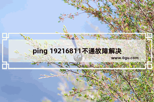 ping 19216811不通故障解决