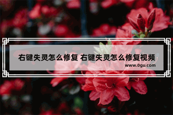 右键失灵怎么修复 右键失灵怎么修复视频