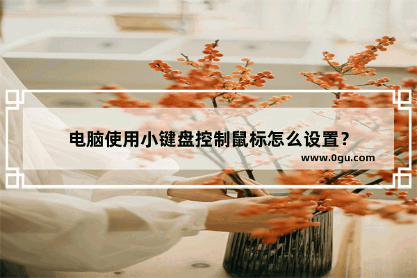 电脑使用小键盘控制鼠标怎么设置？