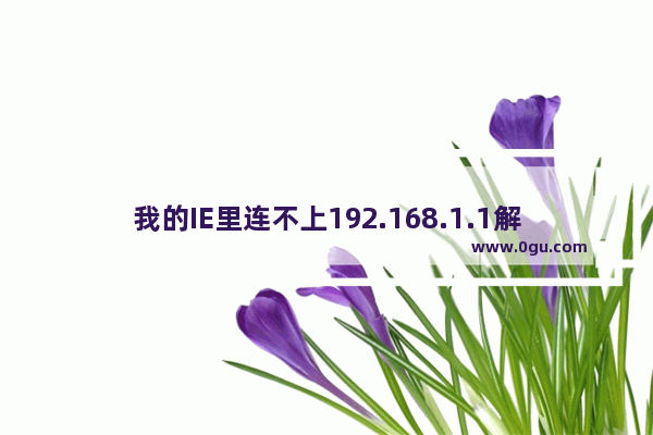 我的IE里连不上192.168.1.1解决方法