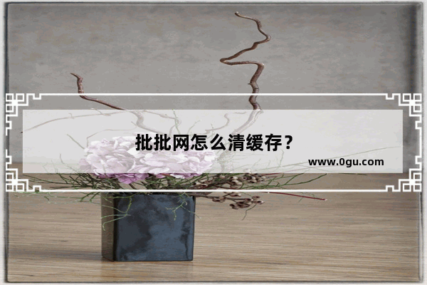 批批网怎么清缓存？
