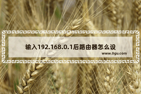 输入192.168.0.1后路由器怎么设置（教程）