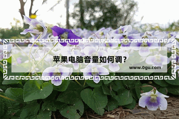 苹果电脑音量如何调？