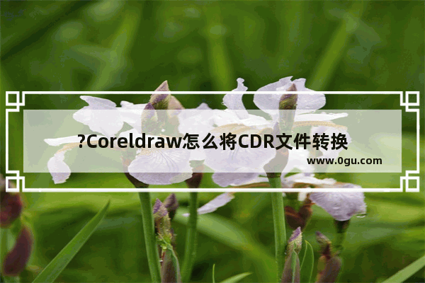 ?Coreldraw怎么将CDR文件转换JPG图片 CorelDRAW转换为jpg图片格式的方法教程