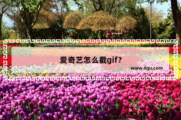爱奇艺怎么截gif？