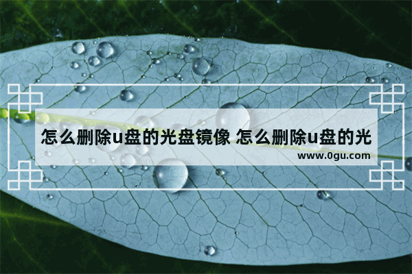 怎么删除u盘的光盘镜像 怎么删除u盘的光盘镜像文件