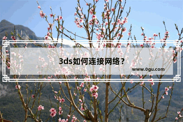 3ds如何连接网络？