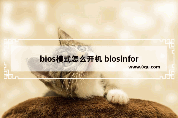 bios模式怎么开机 biosinformation怎么开机